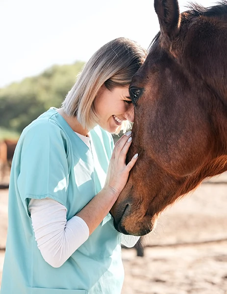 A smiling veterinarian in light blue scrubs gently touching a horse's face, exemplifying the compassionate care offered by equine veterinary practices supported by VetEquine Web Experts.